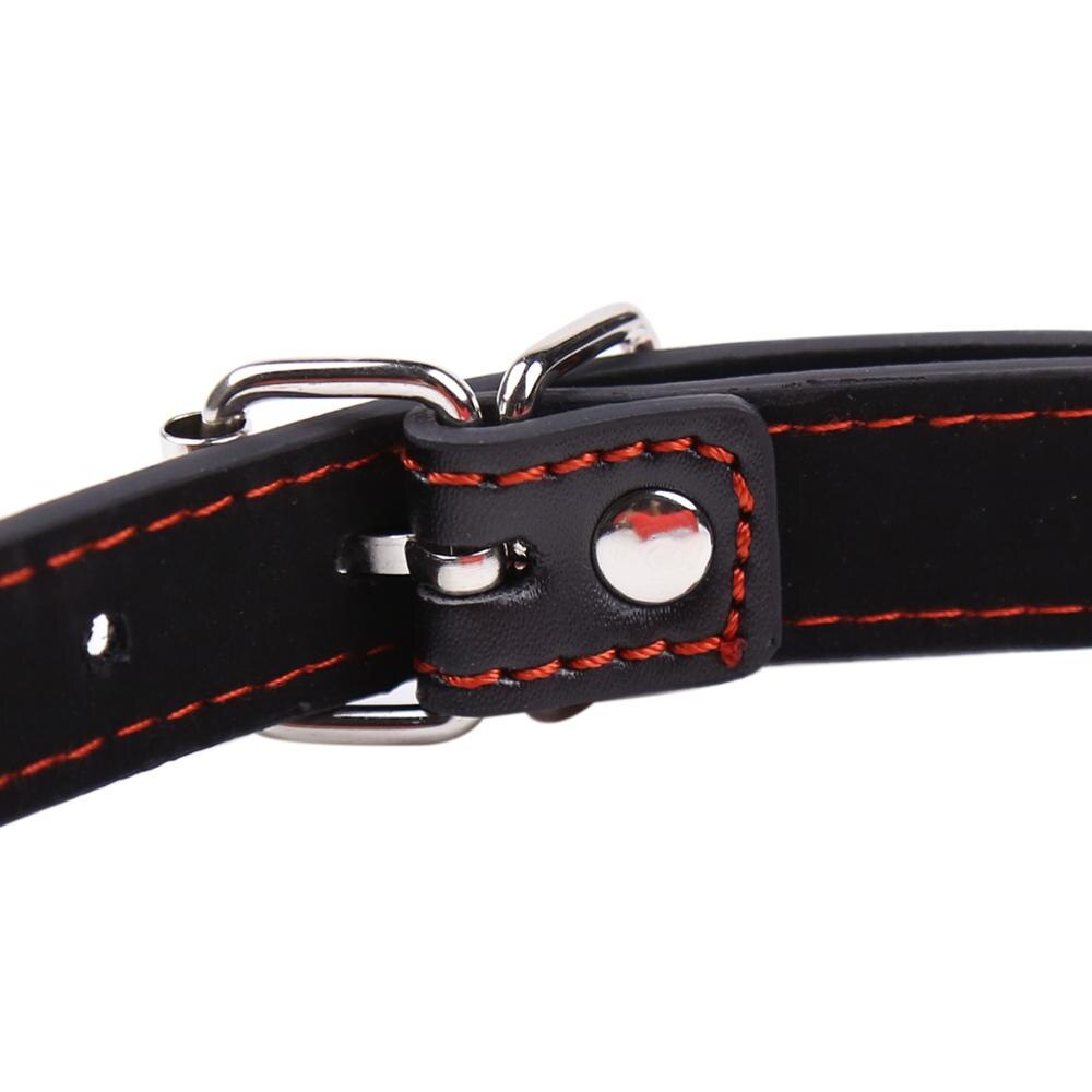 Dog Bone Mouth Gag