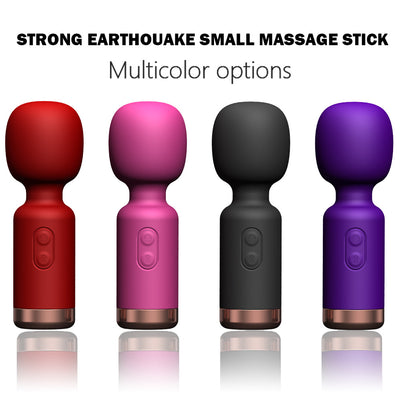 Earthquake Massage Stick