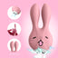 Rabbit Vibrator