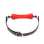Dog Bone Mouth Gag